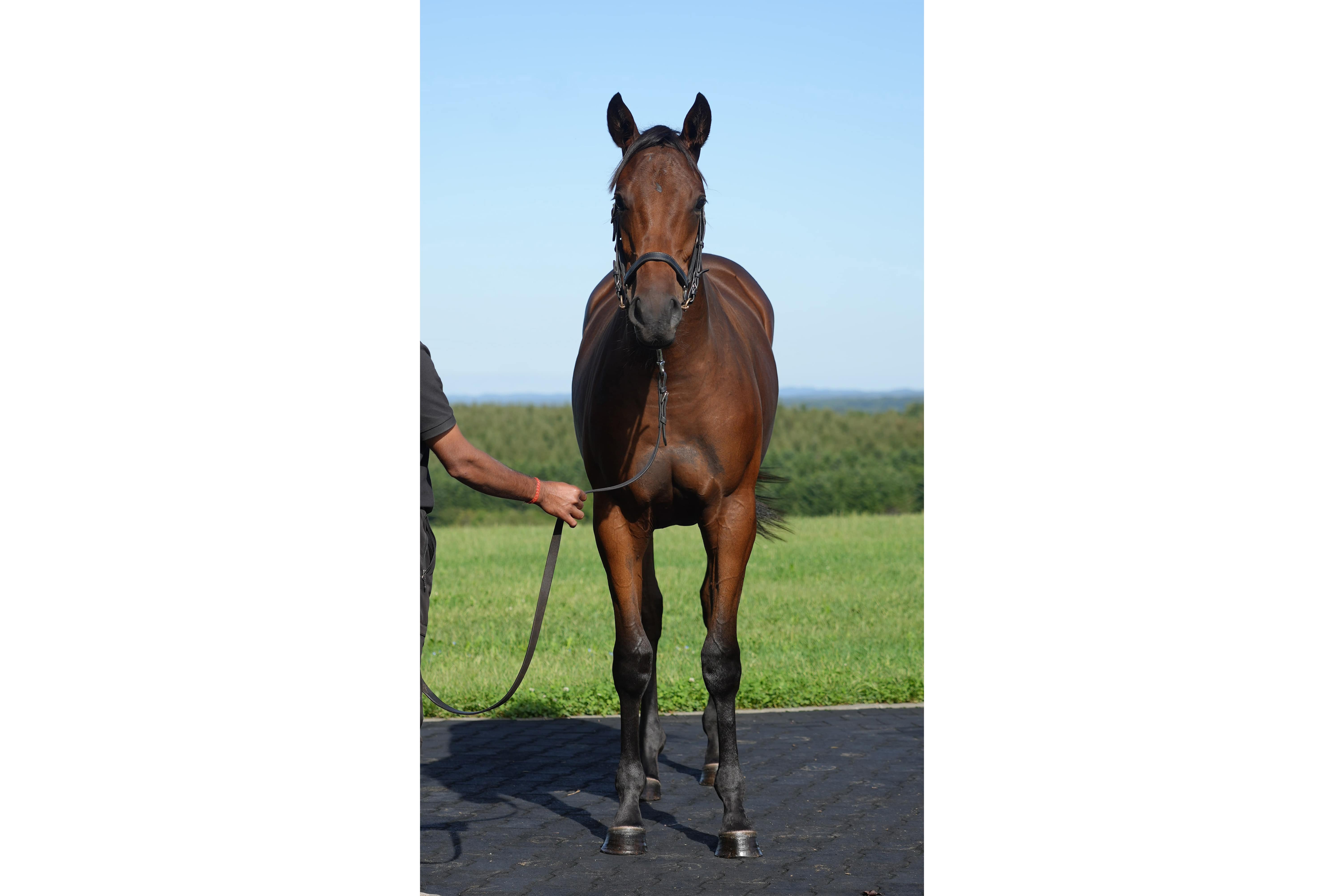 カフェソサエティの2022